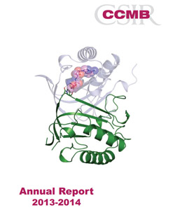 Annual Report