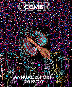 Annual Report