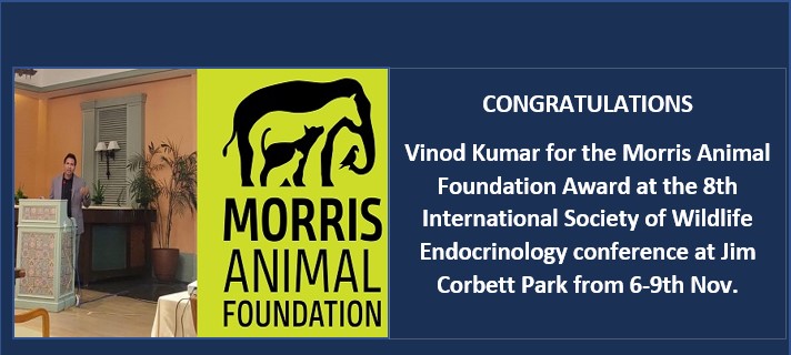 Morris Animal Foundation Award