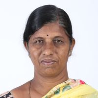 M Rajeswari	-Img