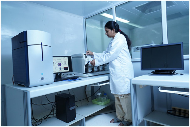 DNA Microarray -Image