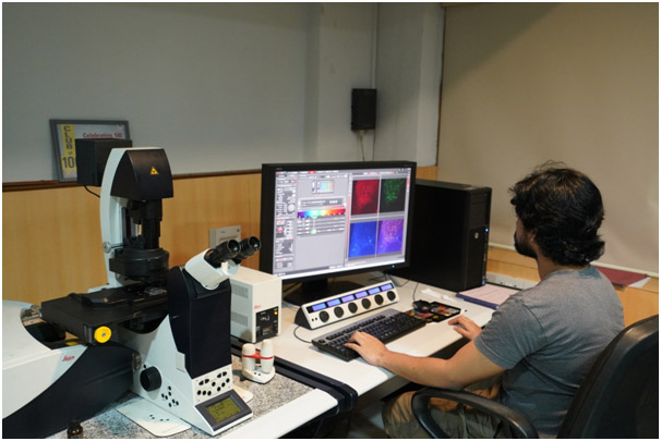 Advanced Microscopy and Imaging -Image