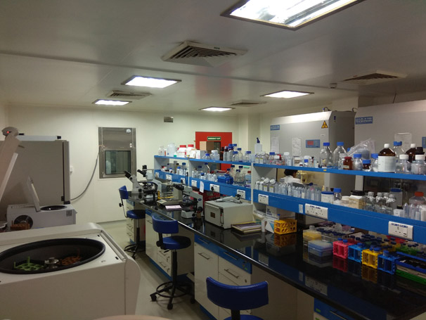 BSL 2 and 3 Laboratories-Image