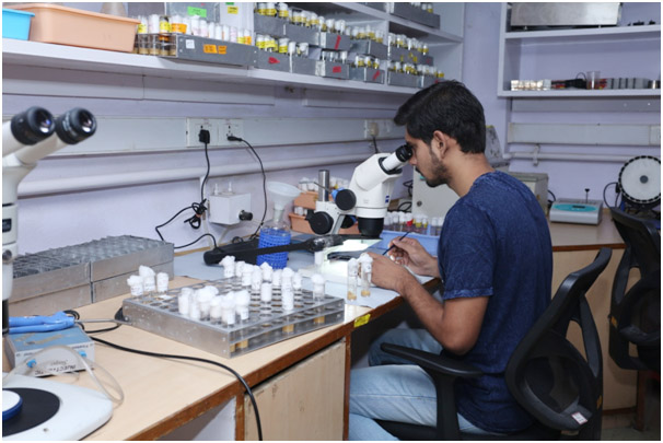 Drosophila Laboratory-Image