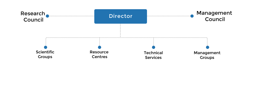 Organization Structure