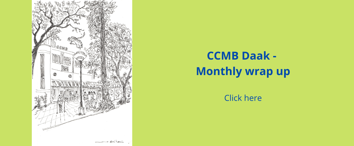 ccmb-dak-29-07-2025