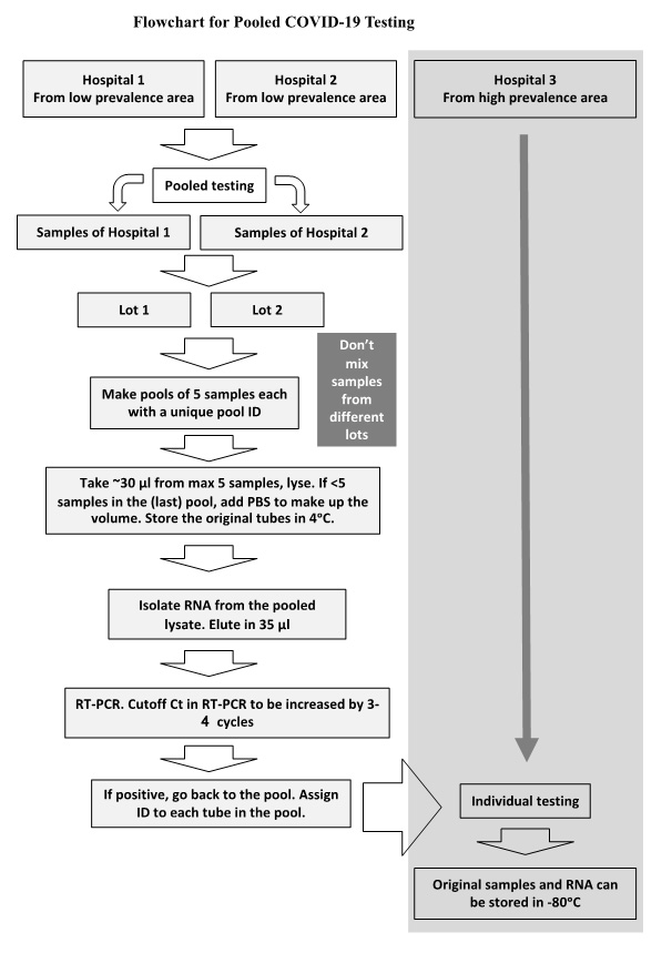 Flowchart for pooled COVID-19 testing