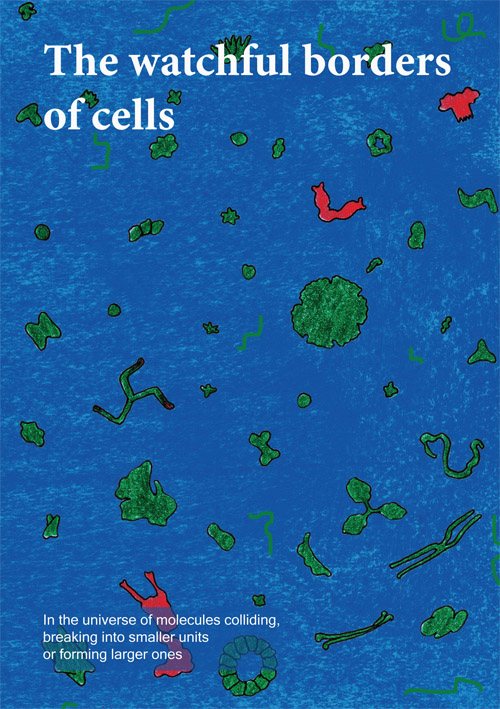 The watchful borders of cells
<span style='font-size:10px;'> (a part of Life, in Short series)</span>
