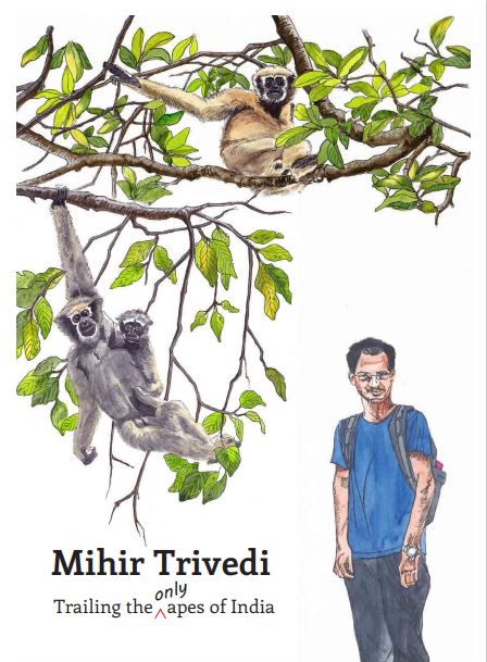 Trailing the only apes of India<span style='font-size:10px;'> (a part of I am a Scientist series)</span>