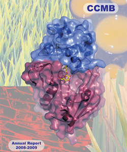 ar2008_09