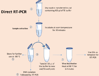 CSIR-CCMB’s Dry Swab direct RT-PCR method for Coronavirus detection receives ICMR approval; can scale up testing by two to three-fold immediately with no additional resources