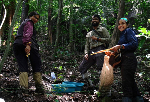 Southern Western Ghats are both a museum and a cradle of diversity for woody plants