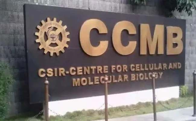HYD CCMB: సీసీఎంబీ గుడ్ న్యూస్.. ఈ టెక్నాలజీతో ఎలాంటి ప్రాణాంతక వైరస్‌లనైనా ఎదుర్కోవచ్చు..!