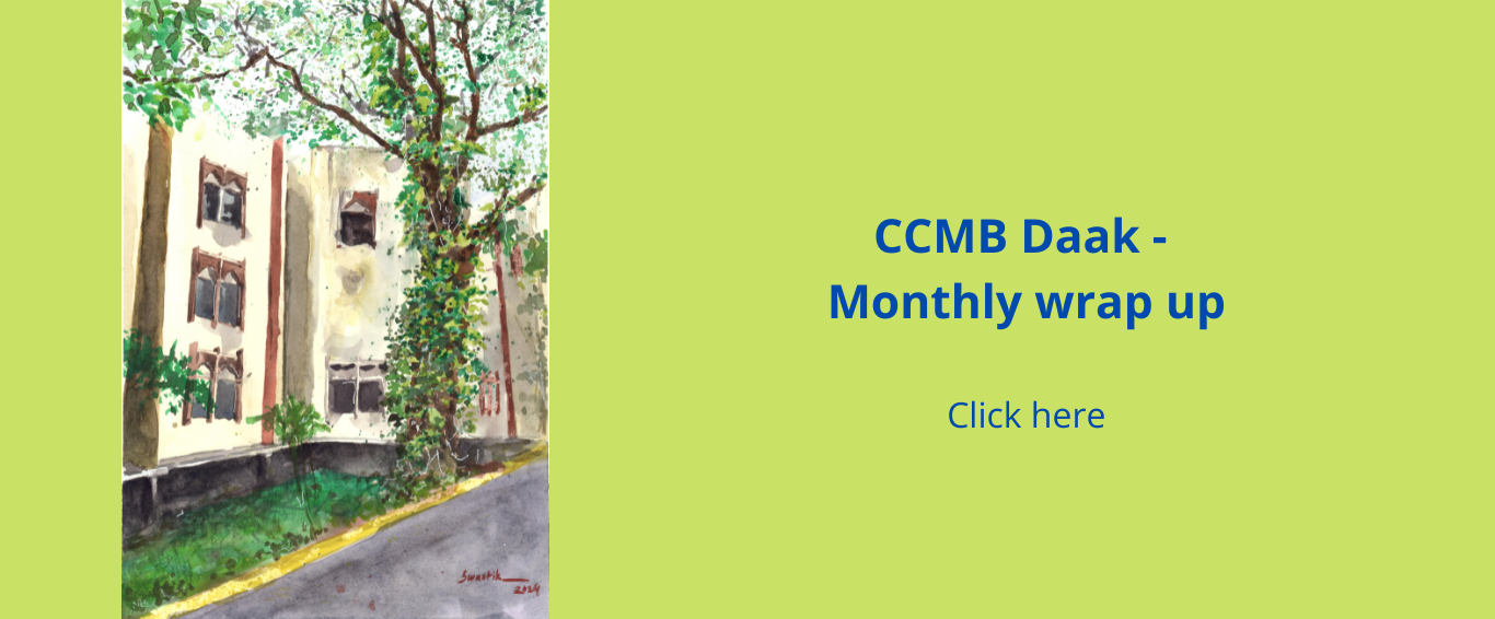 CCMB Dak – Monthly Wrap up – Nov, 2025