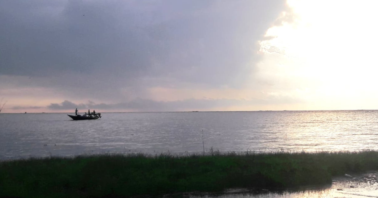 Cyanobacterial metagenomes reflect the spatiotemporal variations in a coastal brackish lagoon