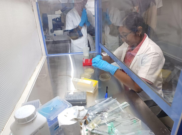 High schoolers become gene cloners at CCMB