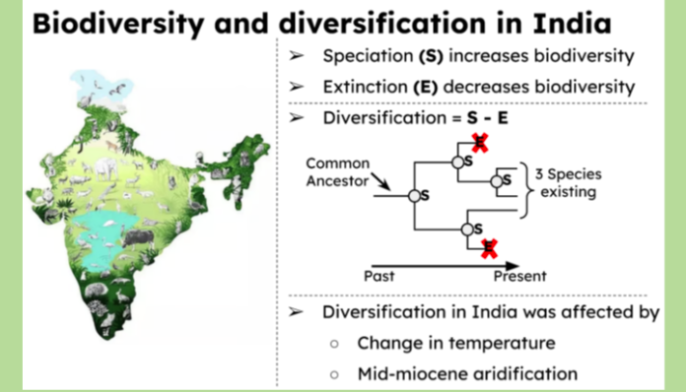 Peninsular India: how biodiversity changed through millions of years