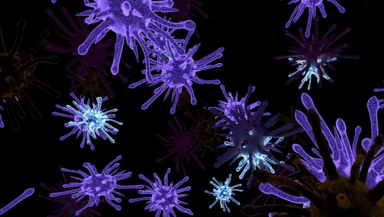 Bacteria Act as Proofreaders and Correct Mistakes: CCMB Researchers