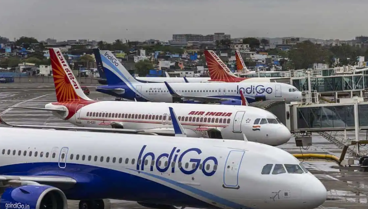 Hyderabad’s CCMB helps Noida airport combat bird strikes with DNA tech