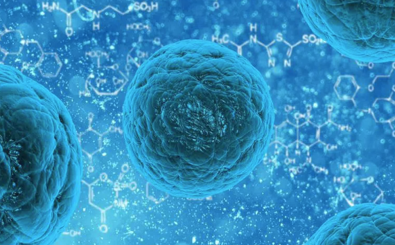 Hospital sewage fuelling antibiotic-resistant bacteria in Hyderabad drains: Study